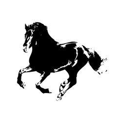 Horse vector