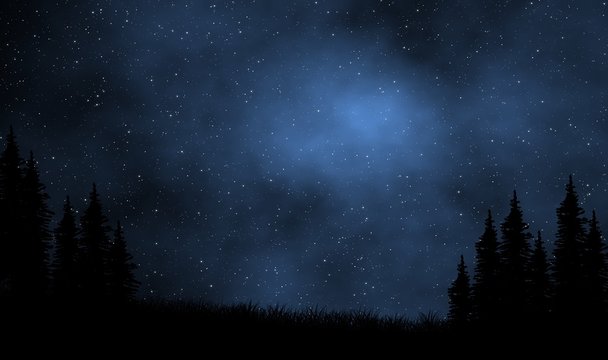 Night sky view over pine forest