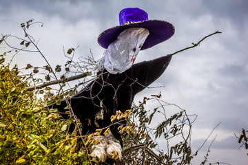 An effigy of a  witch in big hat on the bonfire