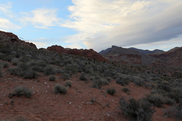 Red Rock Canyon, Nevada, USA. 