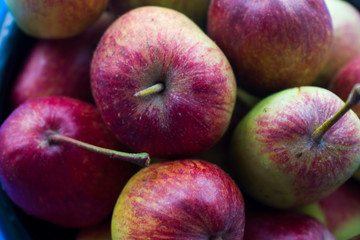 red apples in the foreground