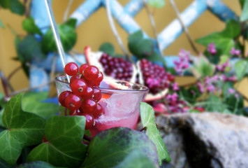 Bodegon de grosellas con hielo picado con enredadera