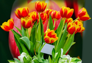 beautiful bouquet with red tulips