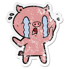 distressed sticker of a crying pig cartoon