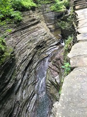 waterfall in forest