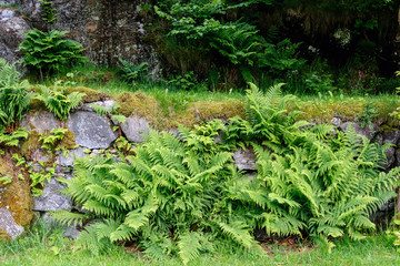 Visit Norway's oldest industrial community Alvøen museum near Bergen