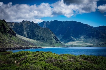 Fototapeta na wymiar Kaena Point Albatross Sanctuary in Oahu, Hawaii