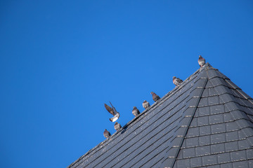 Making Room For One More