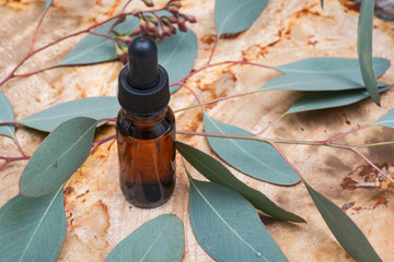 Eucalyptus Essential oil in Amber Round Glass Bottle with Glass Dropper and Fresh Eucalyptus leaves...