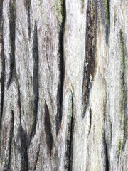 Old wooden floors