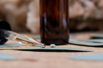 Eucalyptus Essential oil in Amber Round Glass Bottle with Glass Dropper and Fresh Eucalyptus leaves on wooden background. Phytotherapy.