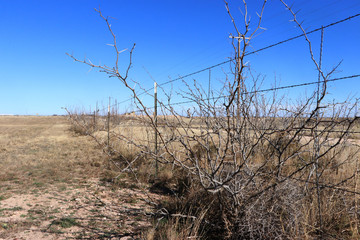 Desert fence