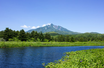利尻島、南浜湿原と利尻山