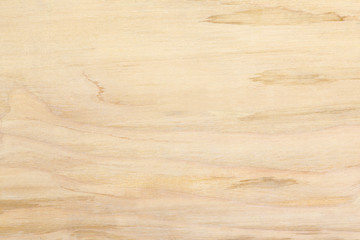 Fototapeta premium Natural plywood wooden wall texture background.