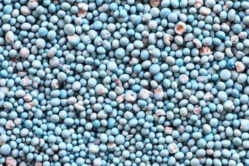 Fototapeta na wymiar blue fertilizer pattern use for agricultural