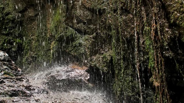 Pure Life Water Dripping on a Rock in a Wild Nature