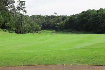 Green Grass Golf Course