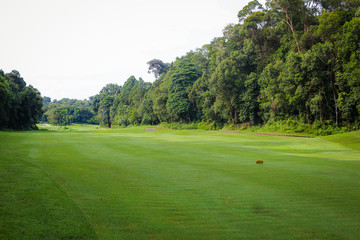 Obraz premium Sport Golf Course Green Field