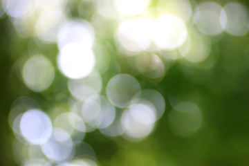 Abstract natural green bokeh background