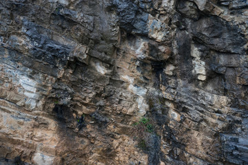 Italy, Varenna, Lake Como, a close up of a rock