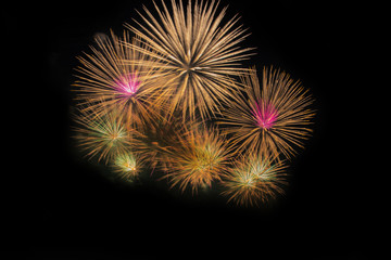 Fireworks Celebration at night.