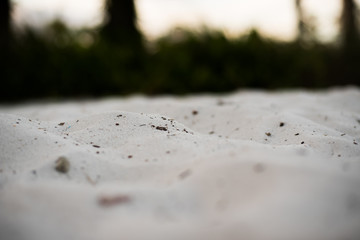 Close up of Sand on the Beach