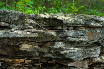 Close Up of Slate Stone in the Forest