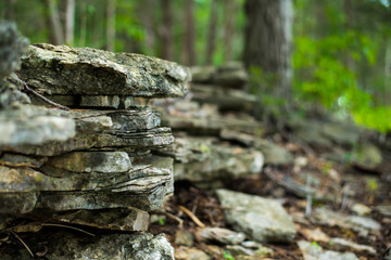 Close Up of Slate Stone in the Forest