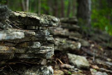 Fototapeta na wymiar Close Up of Slate Stone in the Forest