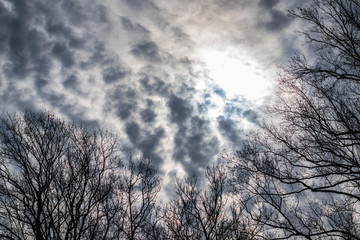 Sun Behind the Clouds in Winter