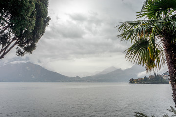 Italy, Varenna, Lake Como, a tree next to a body of water surrounded by palm trees