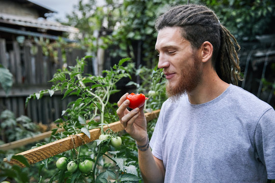 Farmer in the garden