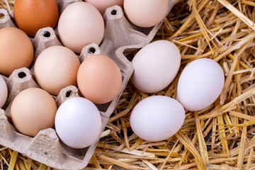 Raw eggs in dry straw. Food concept photo.