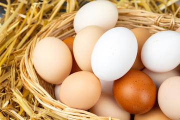 Raw eggs in dry straw. Food concept photo.