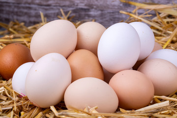 Raw eggs in dry straw. Food concept photo.