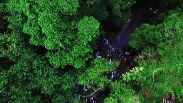 Beautiful aerial view landscape in the forest in Malaysia
