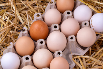 Raw eggs in dry straw. Food concept photo.
