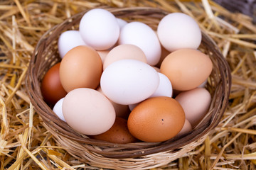 Raw eggs in dry straw. Food concept photo.