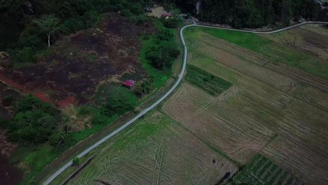 Beautiful aerial view landscape in the forest in Malaysia