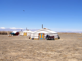Fototapeta na wymiar Traditional dwelling of Mongolian nomadic yurt in May