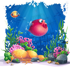 Vector image background the Marine Life Landscape
