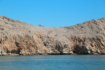 Fototapeta premium Sultanate of Oman, Musandam peninsula, Gulf of Oman, rocky coast