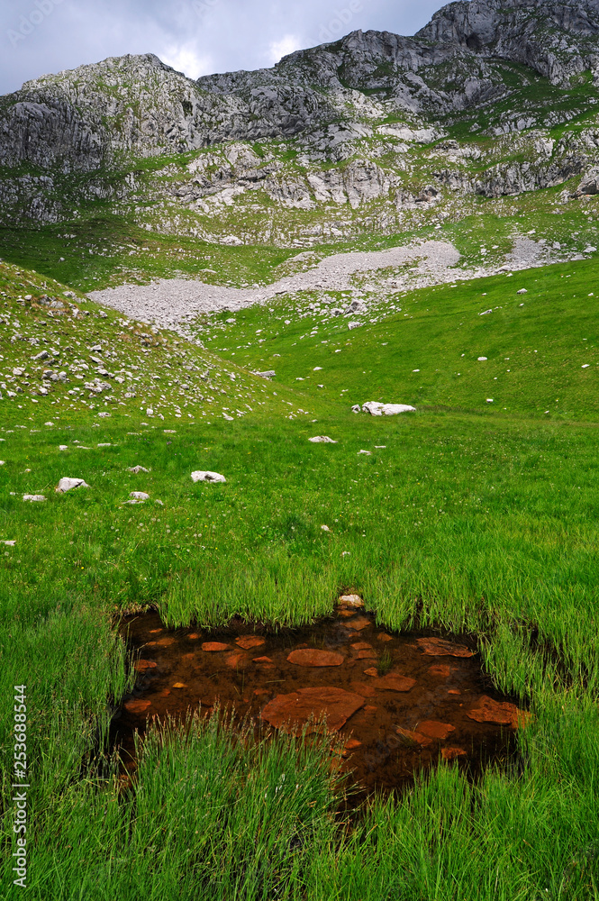 Canvas Prints Graslandschaft im Zurim-Gebirge, Montenegro