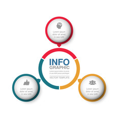 Vector infographic template for  diagram, graph, presentation, chart, business concept with 3 options.