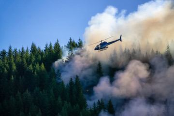 Helicopter fighting BC forest fires during a hot sunny summer day. Taken near Port Alice, Northern...