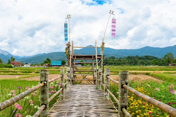 walkway was built from bamboo