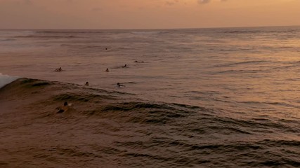 A birds eye view of surfers paddling through golden water to catch the final waves of the day.