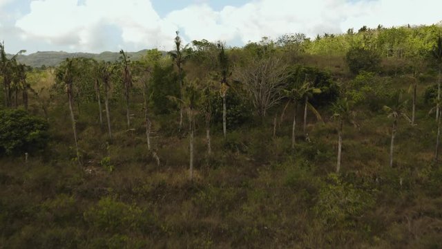 Aerial view of an abonded house proceeds to rise and reveal the lush countryside of Nusa Penida.