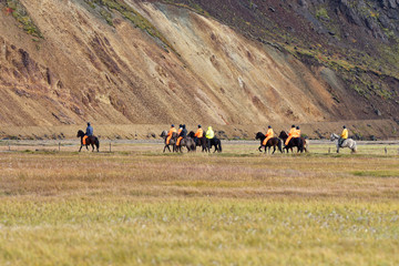 auf nach Hause, Islandpferde mit Reitern, Landmannalaugar, Island