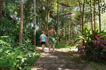 Naklejka na ściany i meble walking in the park, Phu Quoc island